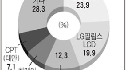 "LCD, 대만이 내년 한국 추월"