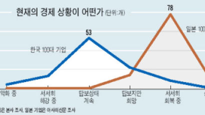 "투자 늘릴 것" 한국 10%·일본 91%