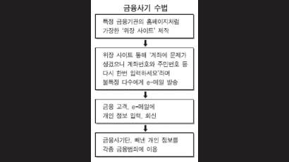 금융사기 e - 메일 주의보