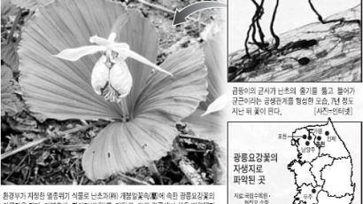 [환경 미스터리] 5. 광릉서도 볼 수 없는 광릉요강꽃