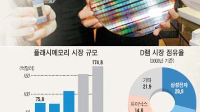 [틴틴경제]'60나노 8기가' 반도체의 60나노가 뭔가요