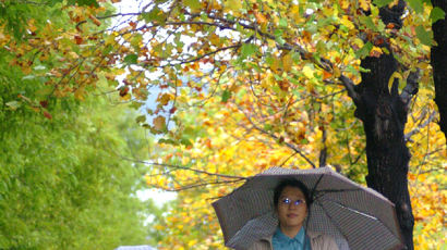 [사진] '가을비 우산 속'