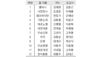 '5강 7중' 안개속 레이스 … 23일 중앙일보배 대상경주