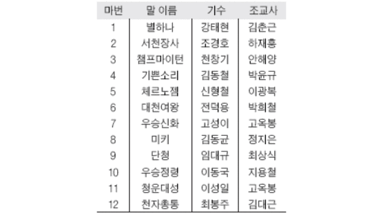 '5강 7중' 안개속 레이스 … 23일 중앙일보배 대상경주