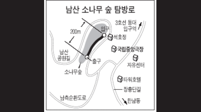 '남산위의 저 소나무' 36년만에 시민 개방