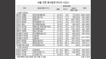 서울 10차 강동권 재건축 인기 끌듯