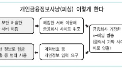 '피싱' 비상… 쓰레기메일 보내 개인정보 '낚시질'