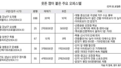 "오피스텔도 오피스텔 나름" 조망권 좋은 중대형 인기