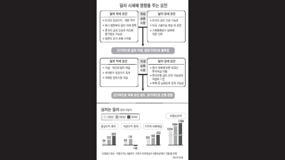 [환율 급락 배경과 전망] 무리한 환율 방어 후유증 … 낙폭 키워