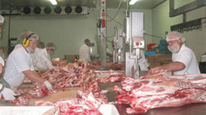 쇠고기 최대 수출국 호주를 가다