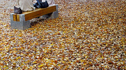 [사진] 고궁의 낙엽 밟으러 오세요