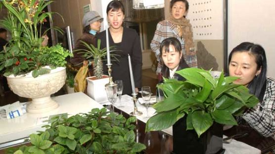 [사진] '웰빙과 함께하는 실내 식물 전시회'