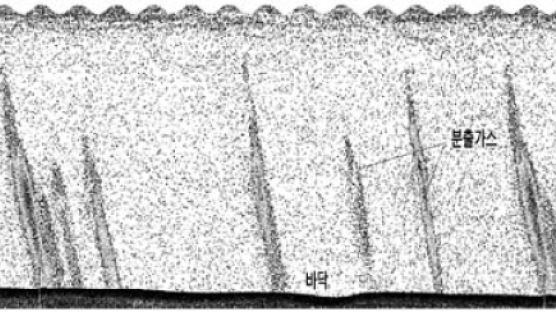 [과학] 바다 속 500m 치솟는 메탄가스