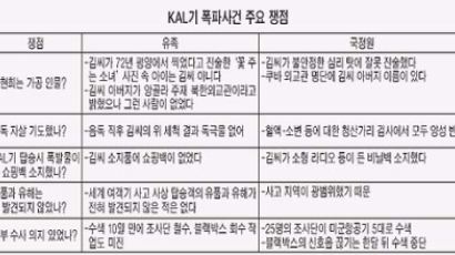 1987년 KAL 858기 폭파 사건…검찰 "수사기록 전면 공개"