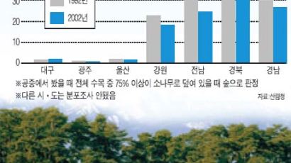 [환경 미스터리] 10. 소나무는 왜 숲에서 점점 사라질까