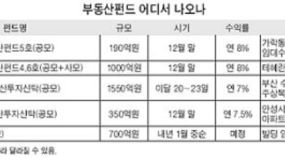 부동산펀드 또 쏟아진다