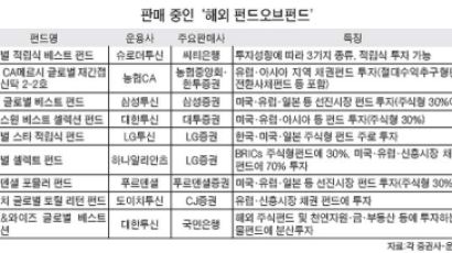 '해외펀드에 투자하는 펀드' 잘 나가네