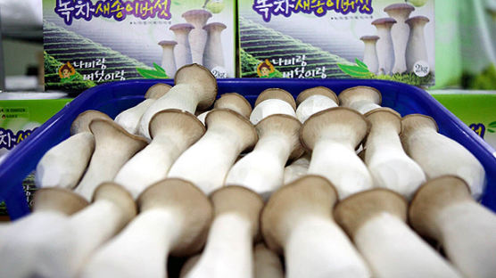 [사진] 전국 최초 녹차버섯 출시