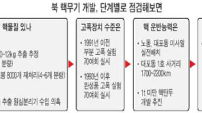 "북한 핵무기 실험용은 넘어선 단계"