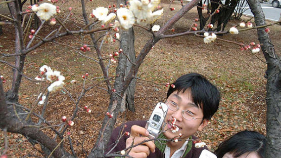 [사진] 봄 소식 전하는 매화