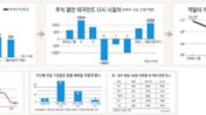 [환율 세 자릿수 시대] "한은발(發) 충격 진정돼도 하락이 대세"