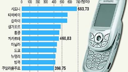 애니콜 지수… '빅맥' 처럼 국제물가·구매력 기준으로