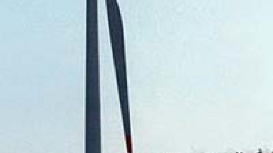40m 날개 '거대한 회전'