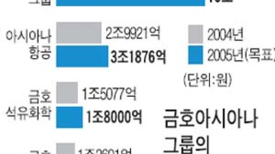 금호아시아나그룹 "렌터카·타이어 사업 확장"