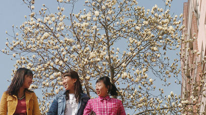 [사진] 봄의 길목… 목련꽃 활짝