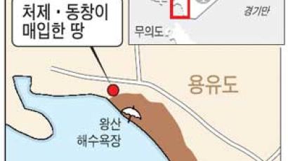 강동석 건교장관 인천공항 사장 때 처제·동창, 공항 주변 땅 매입