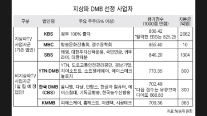 지상파 DMB 사업자 6곳 선정