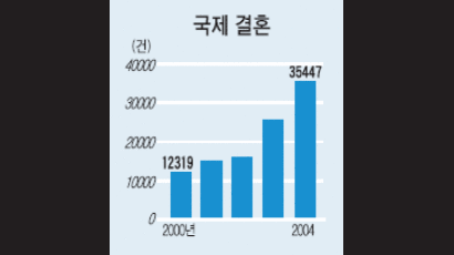 '2004년 혼인·이혼 통계' 분석해 보니 …