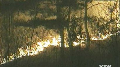 [사진] 식목일에 대형 산불