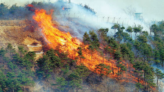 [영동 산불] 충남·전남·경북 … 충격의 '화(火)요일'