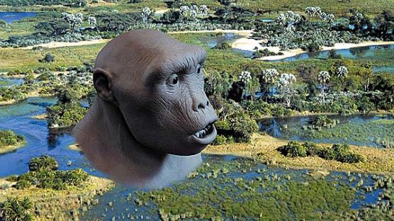 [사진] 700만년 전 인류의 얼굴