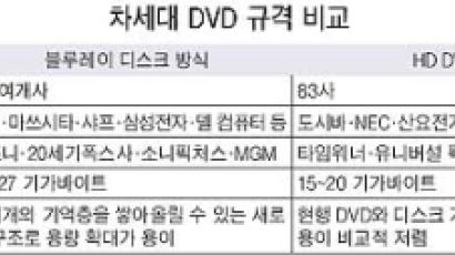 차세대 DVD 표준 '종전선언'