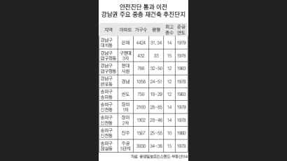 안전진단 감독 강화 방침에 재건축 대신 리모델링 늘 듯