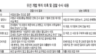 ['러 유전 수사' 중간점검] "김세호 청장에 보고"
