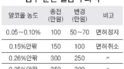 음주·무면허 벌금 인하