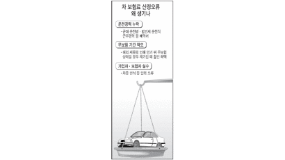 차 보험료 환급 '봉이 김선달'