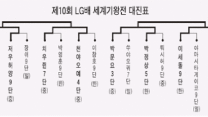 이세돌 "황사바람 내가 막는다"