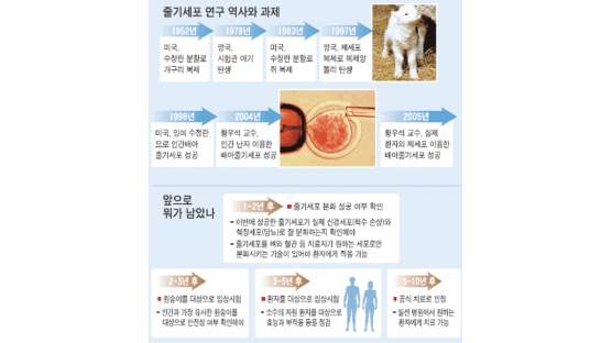 ['줄기세포' 신화 만든 한국인의 손재주] 0.1㎜ 난자 채취 → 핵 치환 → 배양 "5분