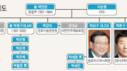 금호아시아나 '형제경영' 큰틀 유지할 듯