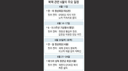 부시에 '북핵 평화 해결' 설득할 듯