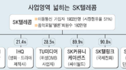 SK텔레콤, YBM서울음반 인수