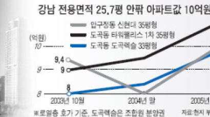강남 전용면적 25.7평 아파트 10억원 넘었다