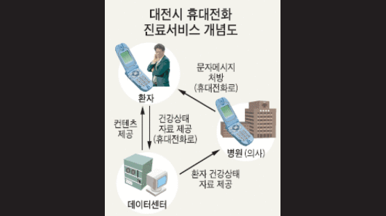 "휴대전화로 진료 받아요" 대전시, 9월부터 첨단 건강관리 서비스