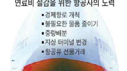 항공사 '비싼 기름 덜쓰기' 고심, 화장실 물까지 줄인다