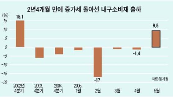 내구소비재 출하 28개월 만에 상승
