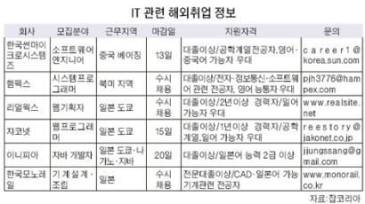 IT업종 해외취업 계속 늘어